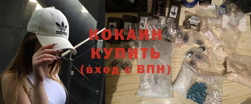 где купить   Зубцов  mega ONION  Cocaine Fish Scale 