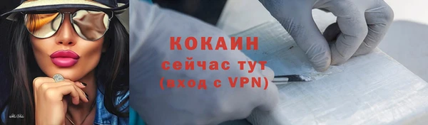 шишки Наволоки