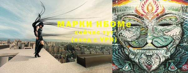 шишки Наволоки