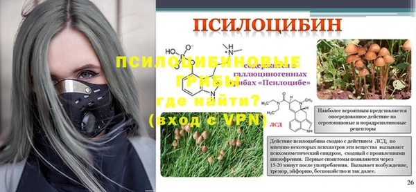 2c-b Надым