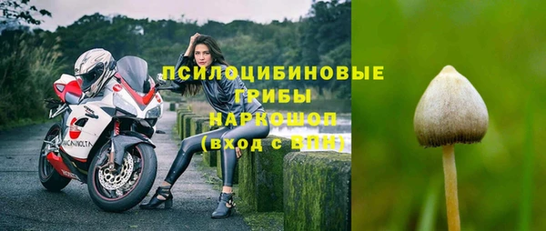 мдпв Нея