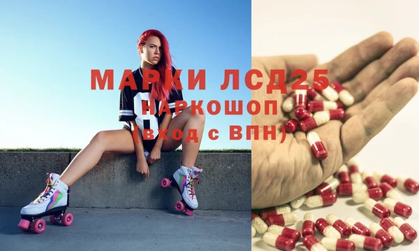 шишки Наволоки